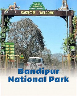 Bandipura